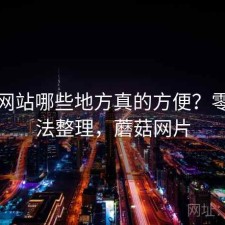 蘑菇网站哪些地方真的方便？零碎想法整理，蘑菇网片