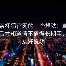 围绕茶杯狐官网的一些想法：真正用过之后才知道值不值得长期用，新手友好说明