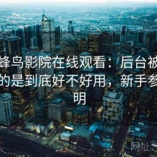 聊聊蜂鸟影院在线观看：后台被问得最多的是到底好不好用，新手参考说明
