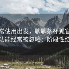 从日常使用出发，聊聊茶杯狐官网哪些功能经常被忽略：阶段性结论