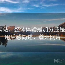 蘑菇网站，整体体验是加分还是减分｜用后感简述，蘑菇网片