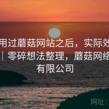 实际用过蘑菇网站之后，实际效果怎么样｜零碎想法整理，蘑菇网络科技有限公司