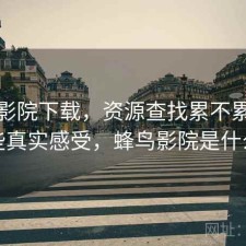 蜂鸟影院下载，资源查找累不累｜一些真实感受，蜂鸟影院是什么