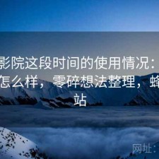 蜂鸟影院这段时间的使用情况：实际效果怎么样，零碎想法整理，蜂鸟影站