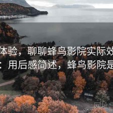 直说体验，聊聊蜂鸟影院实际效果怎么样：用后感简述，蜂鸟影院是什么
