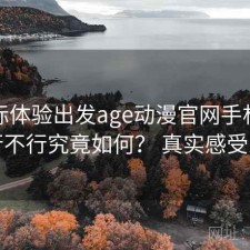 从实际体验出发age动漫官网手机端体验行不行究竟如何？ 真实感受总结