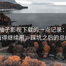 关于柚子影视下载的一点记录：值不值得继续用，踩坑之后的总结