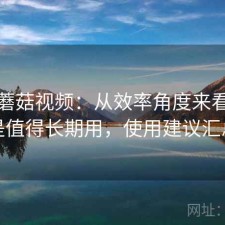 聊聊蘑菇视频：从效率角度来看是不是值得长期用，使用建议汇总