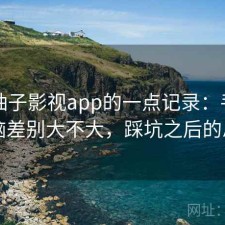 关于柚子影视app的一点记录：手机和电脑差别大不大，踩坑之后的总结