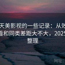 关于天美影视的一些记录：从效率角度来看和同类差距大不大，2025 实测整理