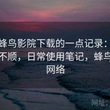 关于蜂鸟影院下载的一点记录：用起来顺不顺，日常使用笔记，蜂鸟影院网络