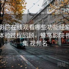 蜂鸟影院在线观看哪些功能经常被忽略？体验过程回顾，蜂鸟影院 搜索剧集 视频名