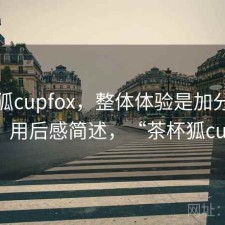 茶杯狐cupfox，整体体验是加分还是减分｜用后感简述，“茶杯狐cupfox”