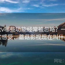蘑菇tv哪些功能经常被忽略？一些真实感受，蘑菇影视现在叫什么