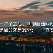 用了一阵子之后，聊聊蘑菇网站整体体验是加分还是减分：一些真实感受