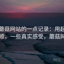 关于蘑菇网站的一点记录：用起来顺不顺，一些真实感受，蘑菇网片