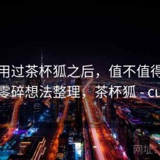 实际用过茶杯狐之后，值不值得继续用｜零碎想法整理，茶杯狐 - cupfox