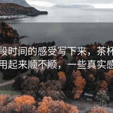把这段时间的感受写下来，茶杯狐官网用起来顺不顺，一些真实感受