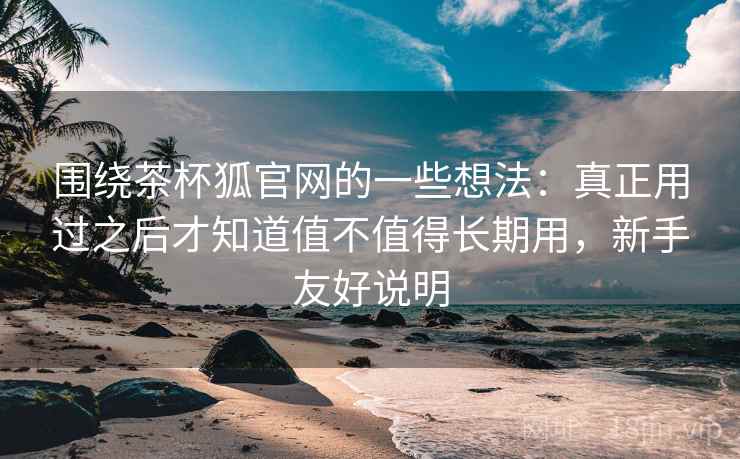 围绕茶杯狐官网的一些想法：真正用过之后才知道值不值得长期用，新手友好说明  第2张