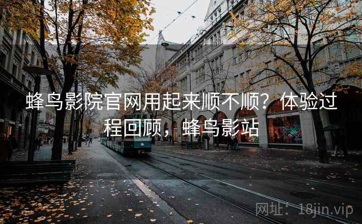 蜂鸟影院官网用起来顺不顺？体验过程回顾，蜂鸟影站  第1张