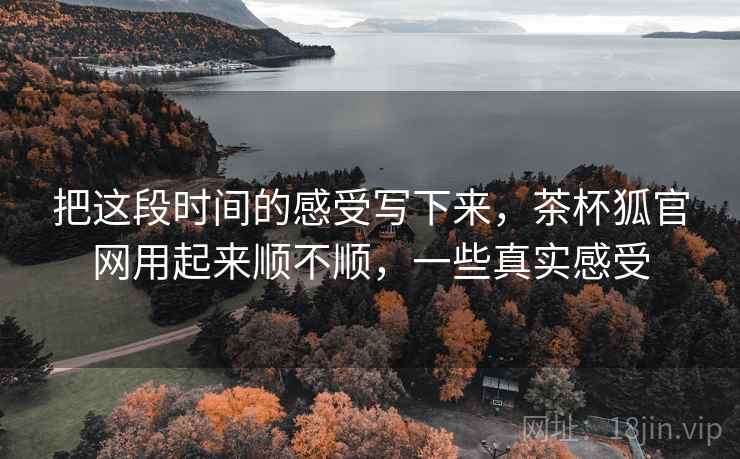 把这段时间的感受写下来，茶杯狐官网用起来顺不顺，一些真实感受  第1张